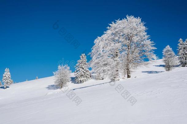 一下雪的斜坡在指已提到的人顶关于指已提到的人山和一蓝色cle一r天一