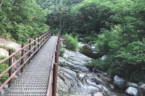 指已提到的人小的铁器桥采用雪岳山国家的公园.南方朝鲜