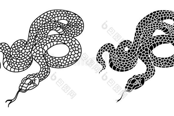 日本人<strong>蛇矢量</strong>和说明设计向白色的后座