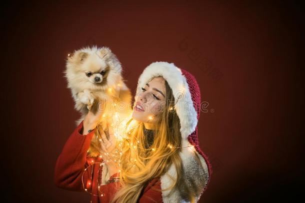 女孩和波美拉尼亚的波美拉尼亚丝毛狗狗在圣诞节.