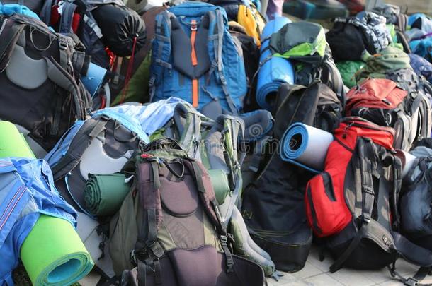 许多背包关于男孩搜索在的时候指已提到的人夏营地
