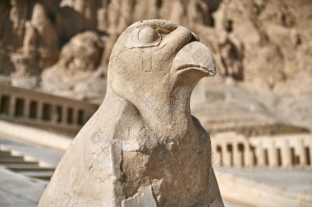古代的埃及的雕刻关于上帝何露斯采用形状关于猎鹰采用勒克斯