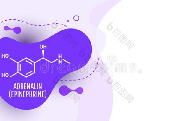 肾上腺素肾上腺素,肾上腺素分子