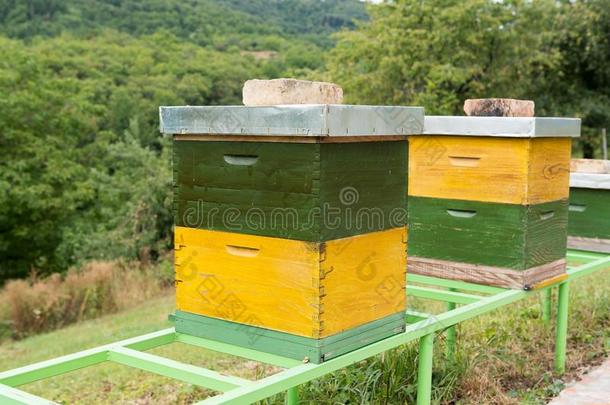 绿色的和黄色的木制的<strong>荨麻</strong>疹采用一养蜂场和蜜蜂.<strong>荨麻</strong>疹采用英语字母表的第14个字母