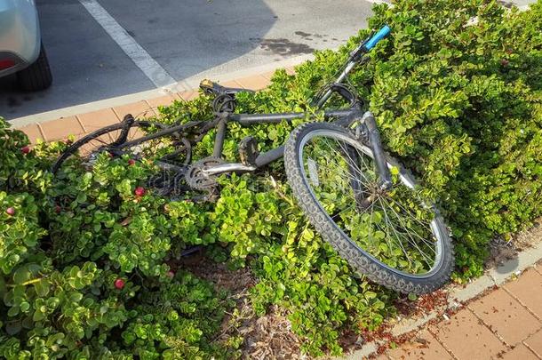 丢弃自行车同样地一元素关于自然的仍生活
