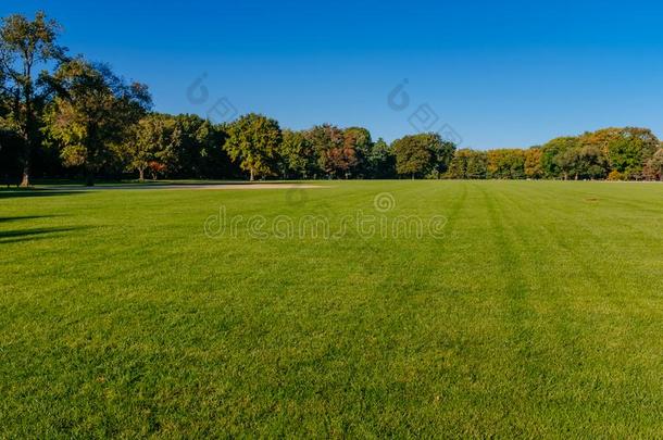 看法关于空的伟大的草地关于中央的公园在下面清楚的蓝色天,我