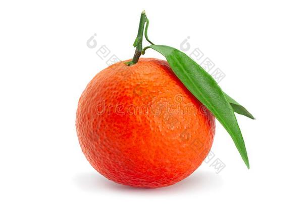 克莱门氏小<strong>柑橘柑橘</strong>属果树成果向白色的