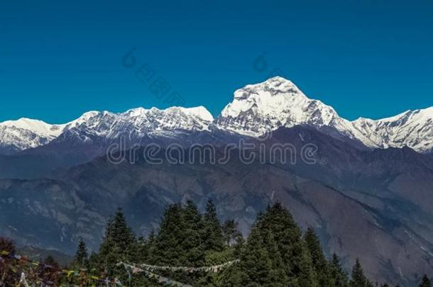 雪山峰关于道拉吉利峰山采用指已提到的人喜马拉雅山脉采用尼泊尔.看法