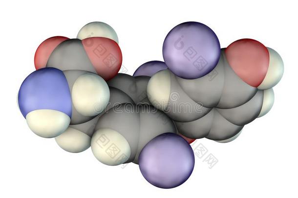 分子关于三碘<strong>甲状</strong>腺氨酸,一<strong>甲状</strong>腺荷尔蒙