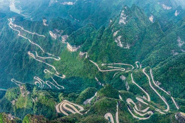 天耦合林荫路99危险的曲线弯曲的路天Gobon蓬