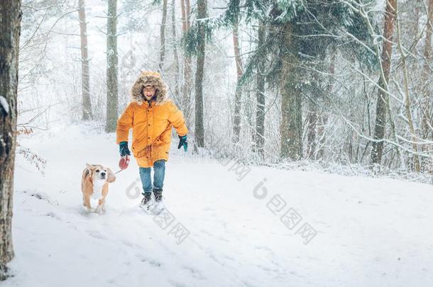 男孩采用明亮的黄色的风雪<strong>大衣</strong>步态和他的猎兔犬狗采用下雪的圆周率