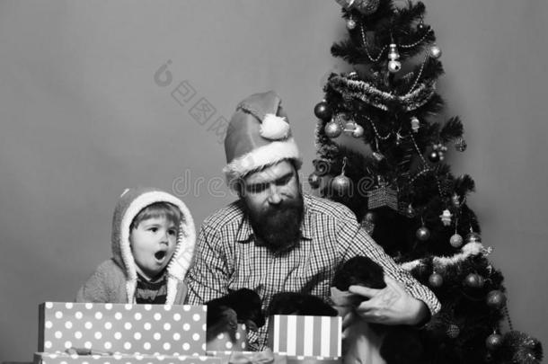 <strong>爸爸</strong>和胡须和<strong>小孩</strong>拿住公狗在近处圣诞节树.