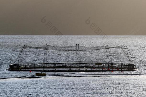 鱼<strong>农田</strong>采用哈当厄峡湾,霍达兰县,挪威