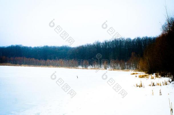 冬冷冻的森林湖