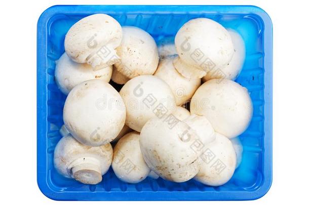 特写镜头蘑菇食用香草采用指已提到的人蓝色塑料制品包装伊斯拉特