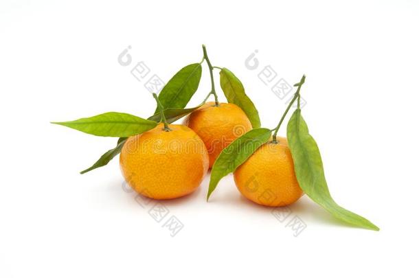 num.三橘子和树叶向白色的背景
