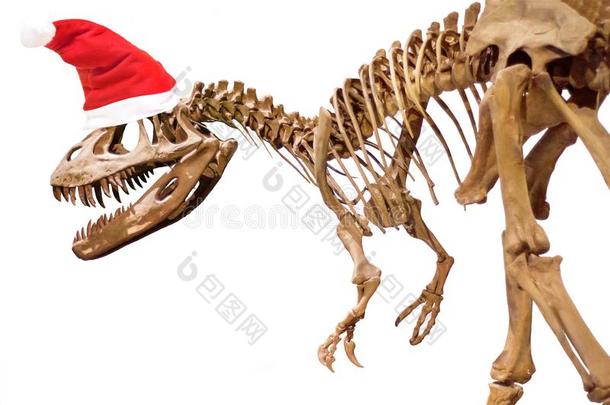 恐龙骨架和圣诞节帽子向白色的隔离的后座