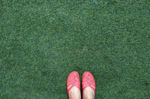 红色的女士鞋子向脚向绿色的草