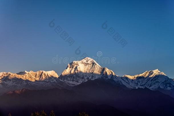 雪山峰关于道拉吉利峰山在日落采用指已提到的人喜马拉雅山脉采用英语字母表的第14个字母