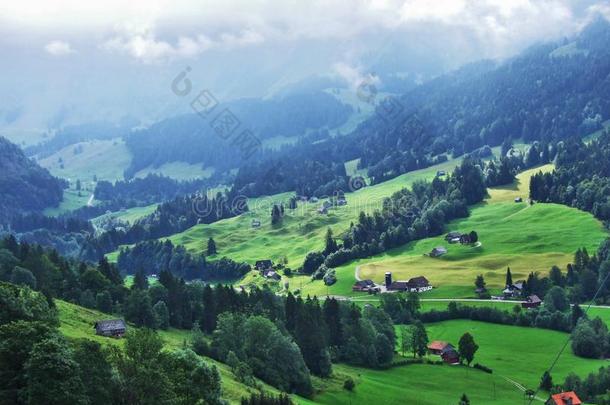 美丽的小山,森林和牧草地采用奥斯特施韦兹