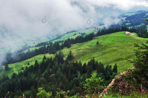 美丽的小山,森林和牧草地采用奥斯特施韦兹