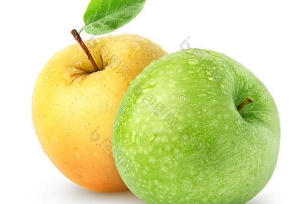 隔离的湿的苹果.绿色的和黄色的苹果成果隔离的向wickets三柱门