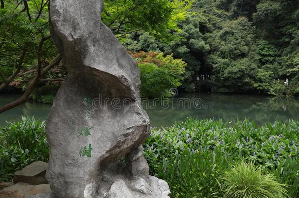 雁鸣水沟酒溪,自然公园风景,杭州