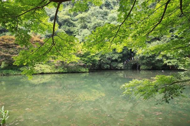 雁鸣水沟酒溪,自然公园风景,杭州