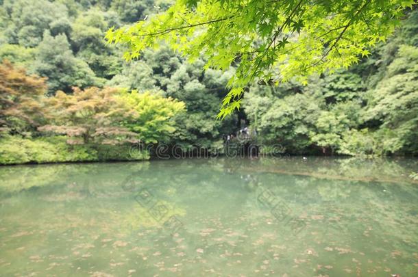 雁鸣水沟酒溪,自然公园风景,<strong>杭州</strong>