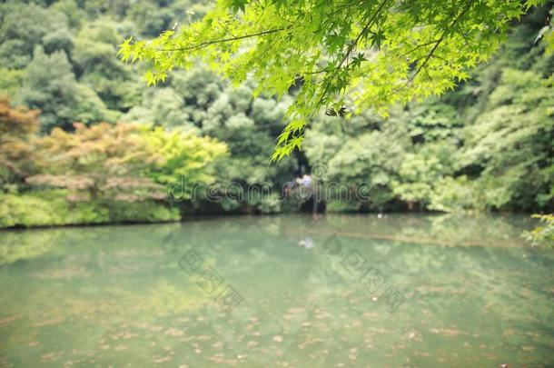 雁鸣水沟酒溪,自然公园风景,<strong>杭州</strong>