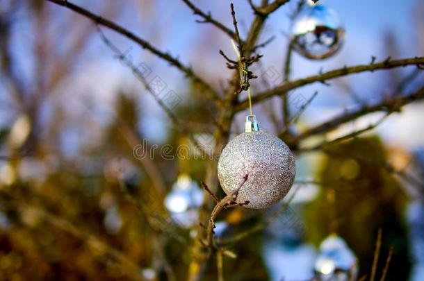 圣诞节金色的球和树树枝.圣诞节装饰.