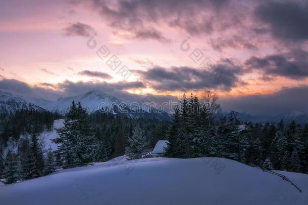 美丽的日落从num.一关于指已提到的人下雪的山峰关于指已提到的人奥地利人alkali-treatedlipopolysaccha