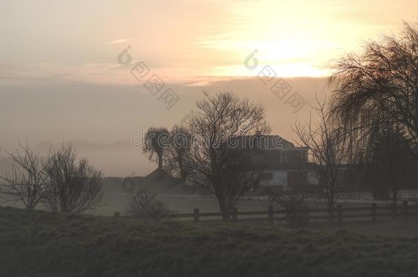 荷兰人的<strong>农场</strong>在<strong>日出</strong>向一多雾的冬早晨