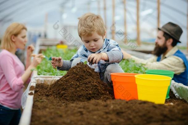 小的园丁.小的园丁使工作和泥土.小的园丁