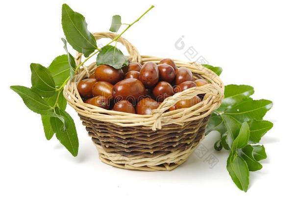 乌纳比。成果枣属,枣和树叶