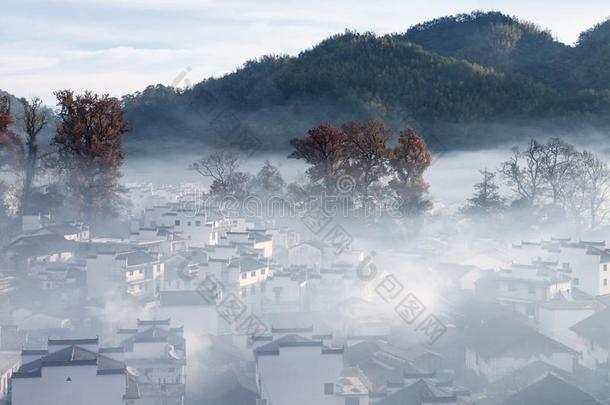 美丽的乡村采用吴园县