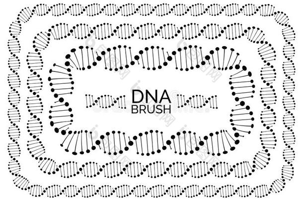 人didnotattend没有参加链子或基因组螺旋结构分子矩形的框架