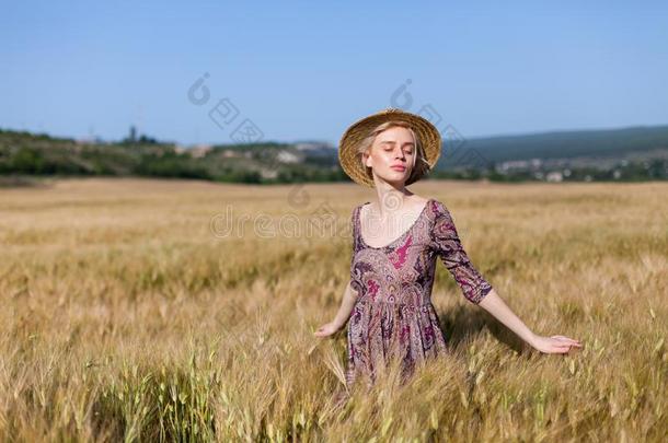 流行的女人农场主采用田关于小麦harvest采用g吉卜赛绅士