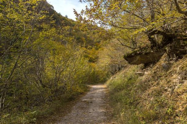 秋看法关于生态步道结构和德温绰号河山峡,平滑