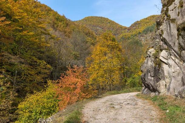 秋看法关于生态<strong>步道</strong>结构和德温绰号河山峡,平滑