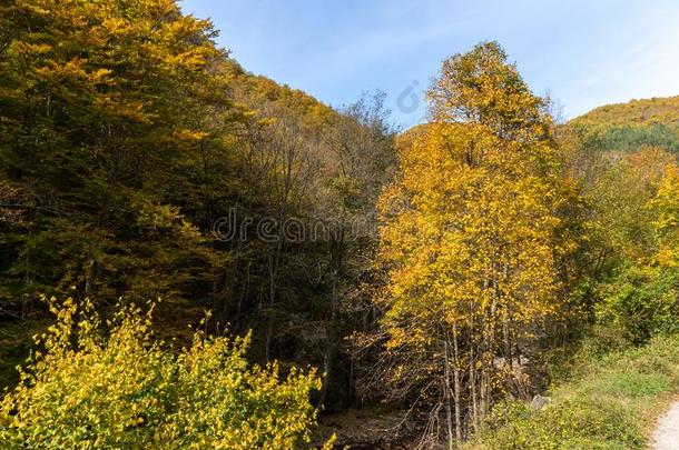 秋看法关于生态步道结构和德温绰号河山峡,平滑