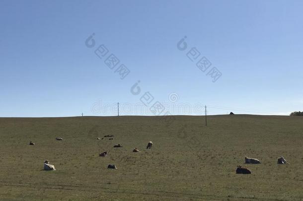 草原关于内部的蒙古,中国