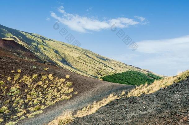 概观关于指已提到的人西尔维斯特里火山口向指已提到的人酒精灯煮水器火山.欧洲`英文字母表的第19个字母