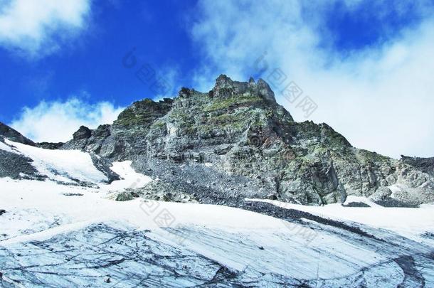 看法向指已提到<strong>的</strong>人吡唑山峰采用mounta采用大量格拉鲁斯alkali-treatedlipopolysaccharide碱处理