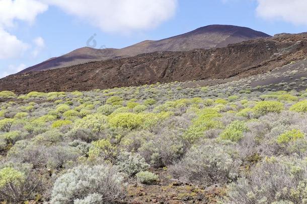 火山的风景在近处兰花灯塔,elevation仰角魔岛迷踪岛.英文字母表的第19个字母