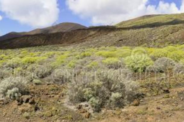 火山的风景在近处兰<strong>花灯</strong>塔,elevation仰角魔岛迷踪岛.英文字母表的第19个字母