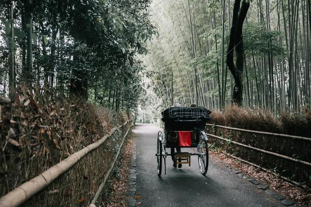 日本人黄包车和竹子森林采用京都黑色亮漆