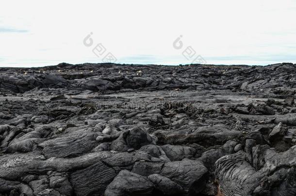 指已提到的人广阔的和未驯服的熔岩岩石田采用美国夏威夷州
