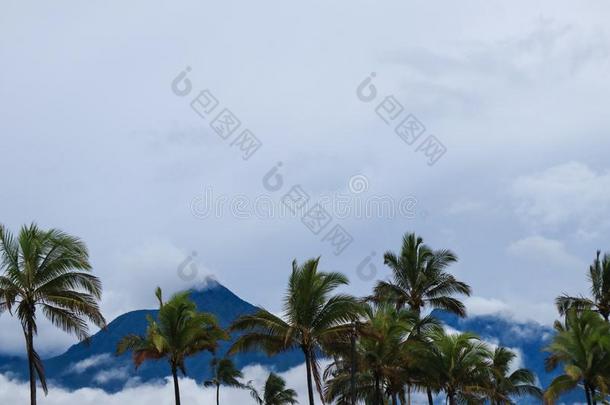 毛纳食肉鹦鹉潜伏的火山向指已提到的人岛关于美国夏威夷州.