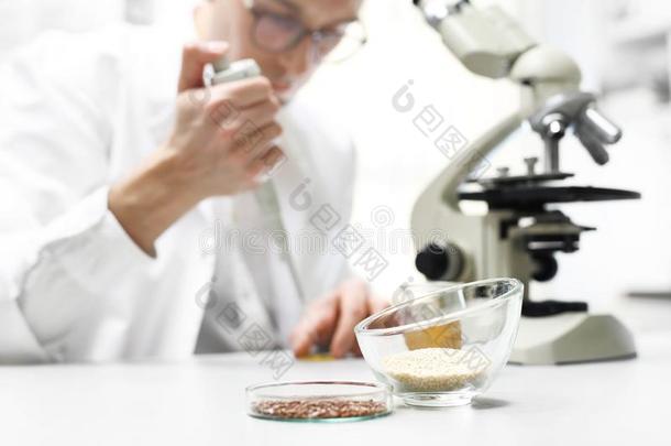 遗传的工程关于植物,实验室测试.